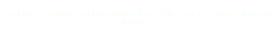 &nbsp;Estudias a tu ritmo en tu horario disponible con asesora en linea, vía email y whatsapp