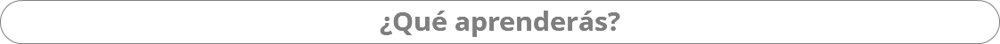 ¿Qué aprenderás?